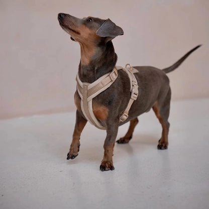 Sand - Velvet Dog Harness