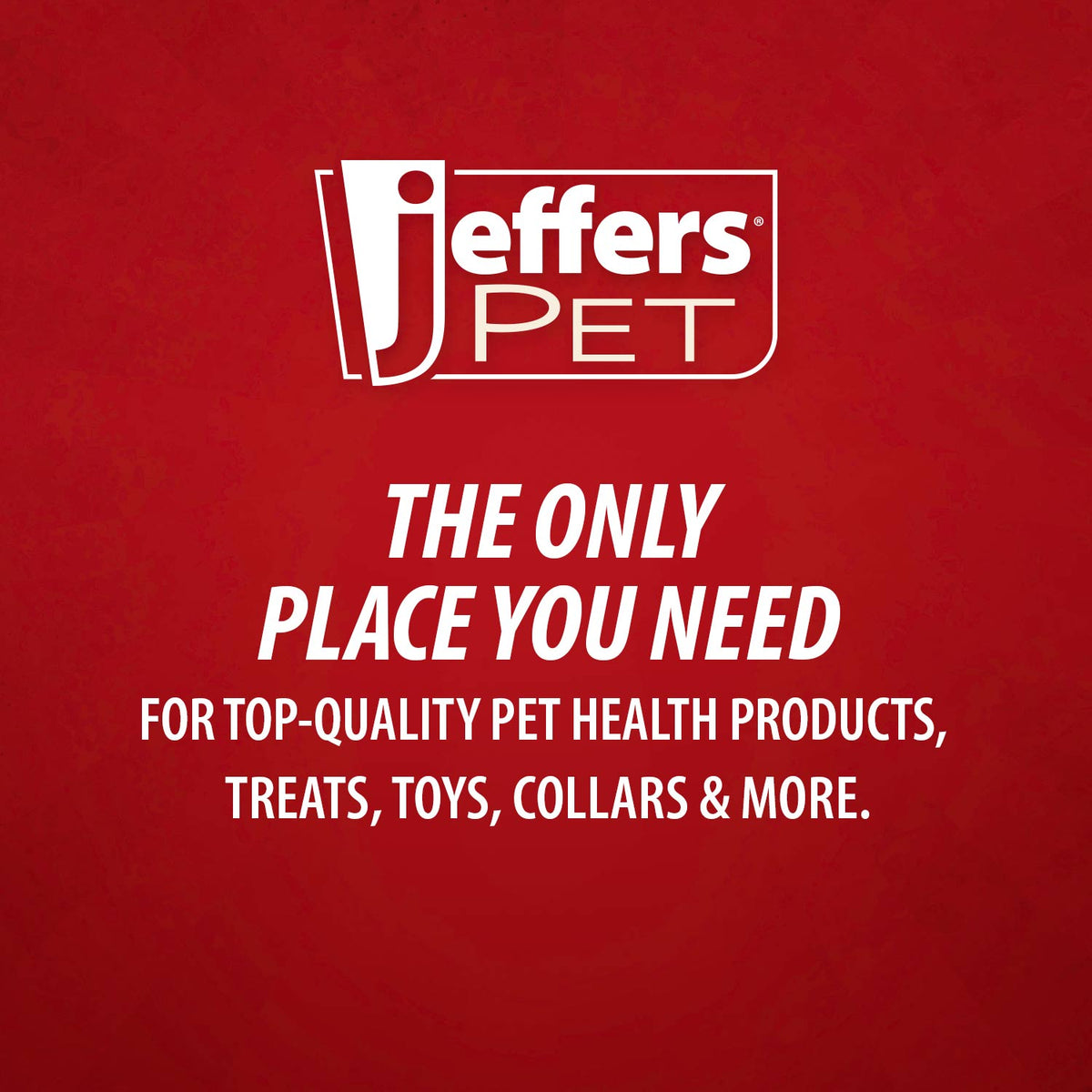 Jeffers Pet Tea Tree (Melaleuca) Medicated Dog Shampoo for Dry Skin