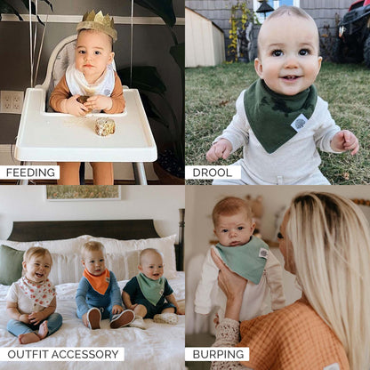 Butterfly Bandana Bib Set (8 pack)